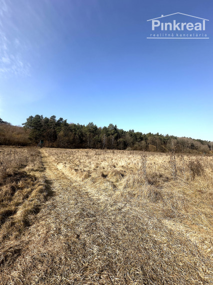 PINKREAL- Predaj rozľahlý, slnečný pozemok pri lese a potoku