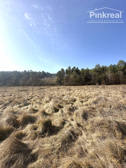 PINKREAL- Predaj rozľahlý, slnečný pozemok pri lese a potoku