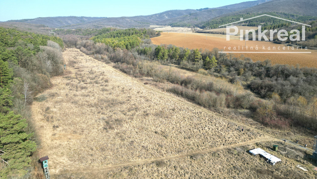 PINKREAL- Predaj rozľahlý, slnečný pozemok pri lese a potoku