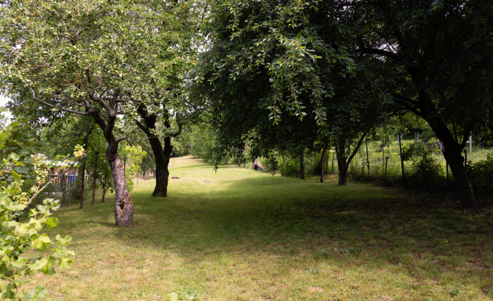 PINKREAL - RD Súlovce, 1 568 m² pri lese. Pokoj a príroda - fotografia 5
